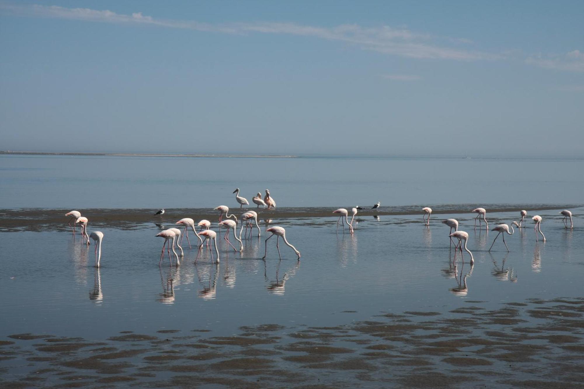 Lagoon Lodge Walvis Bay Bagian luar foto