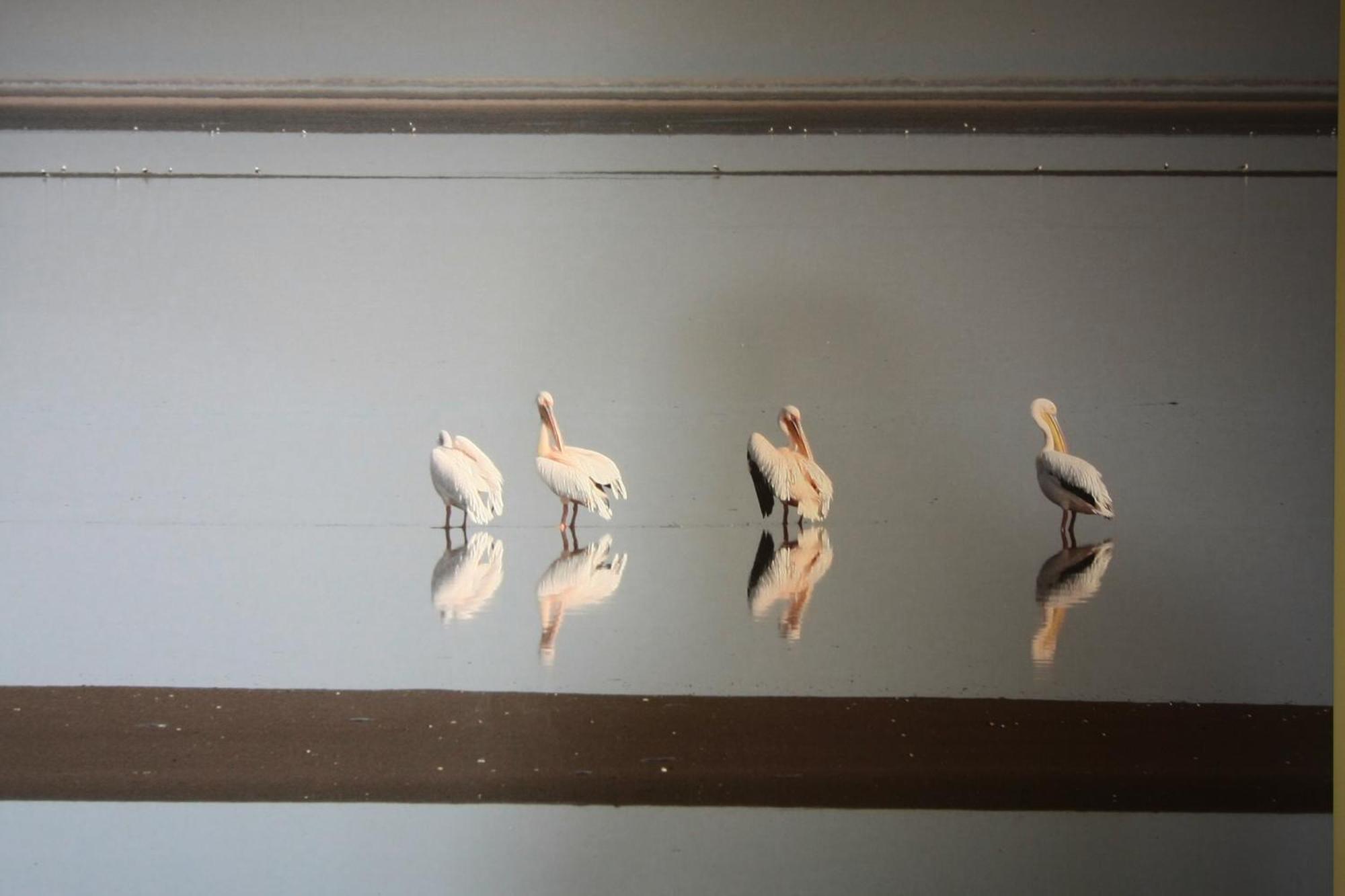 Lagoon Lodge Walvis Bay Bagian luar foto
