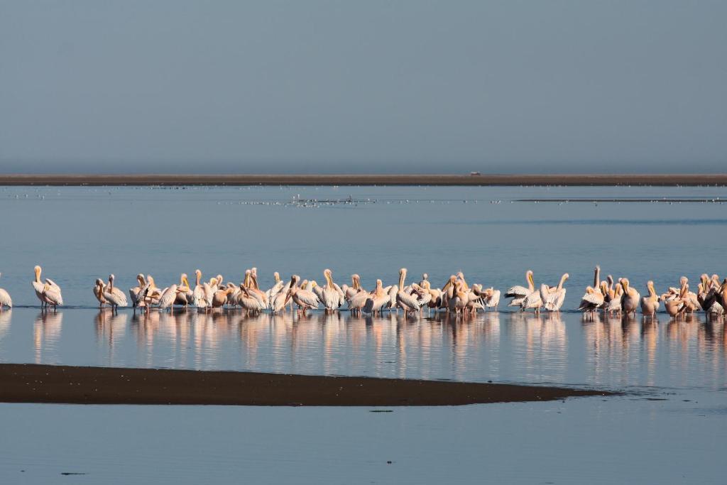 Lagoon Lodge Walvis Bay Bagian luar foto